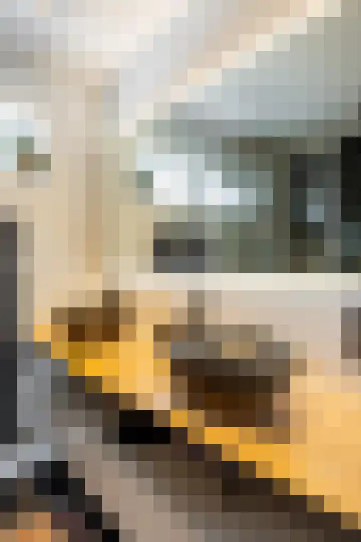 J.C. Beetslaan 90 Hoofddorp thumbnail 31