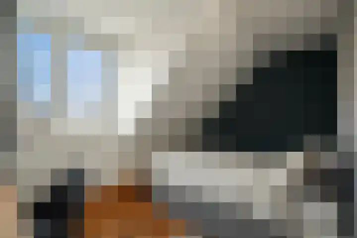 J.C. Bellisstraat 1 Petten thumbnail 16