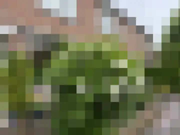 J.C. Bloemlaan 13 Oegstgeest thumbnail 43