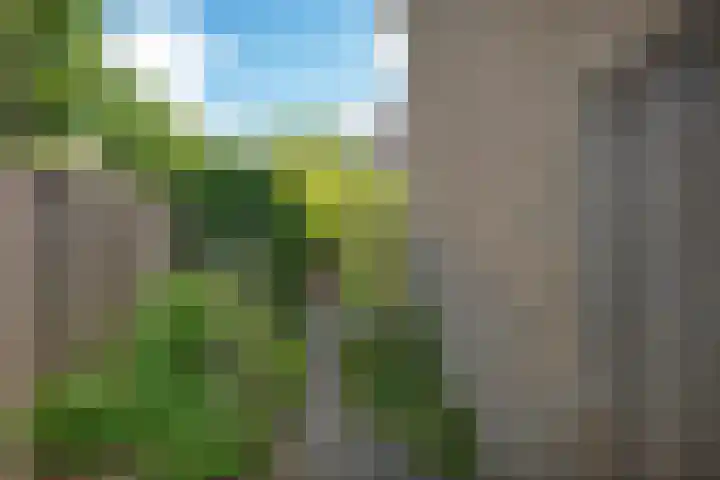 J.C. Bloemstraat 20 Hengelo thumbnail 27