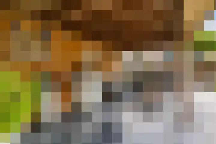 J C Bloemstraat 6 Vleuten thumbnail 32