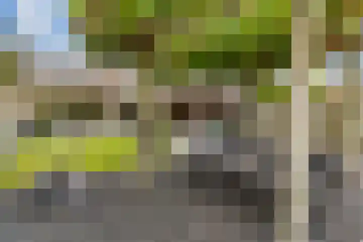 J C Bloemstraat 6 Vleuten thumbnail 34
