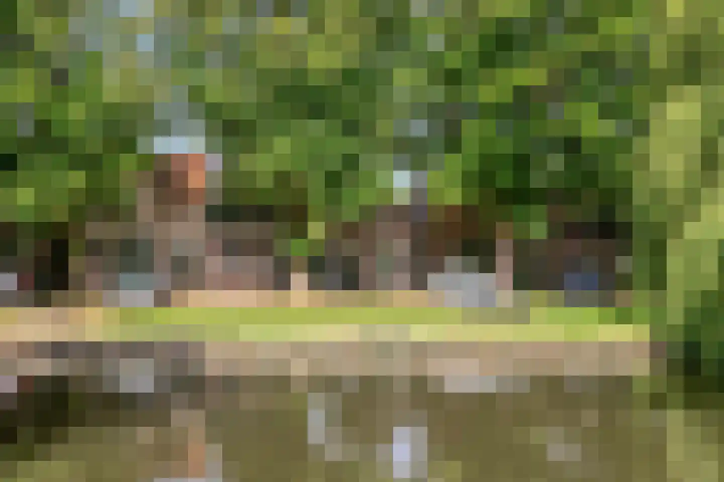 J C Brouwersgracht 13 Edam thumbnail 34