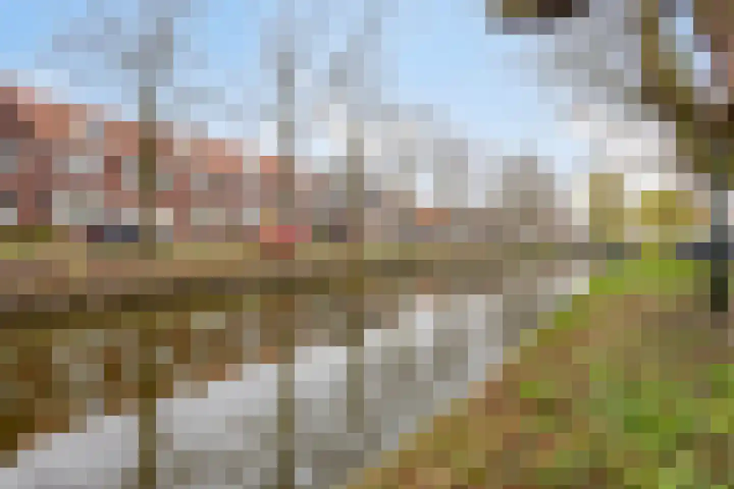 J C Brouwersgracht 25 Edam thumbnail 29