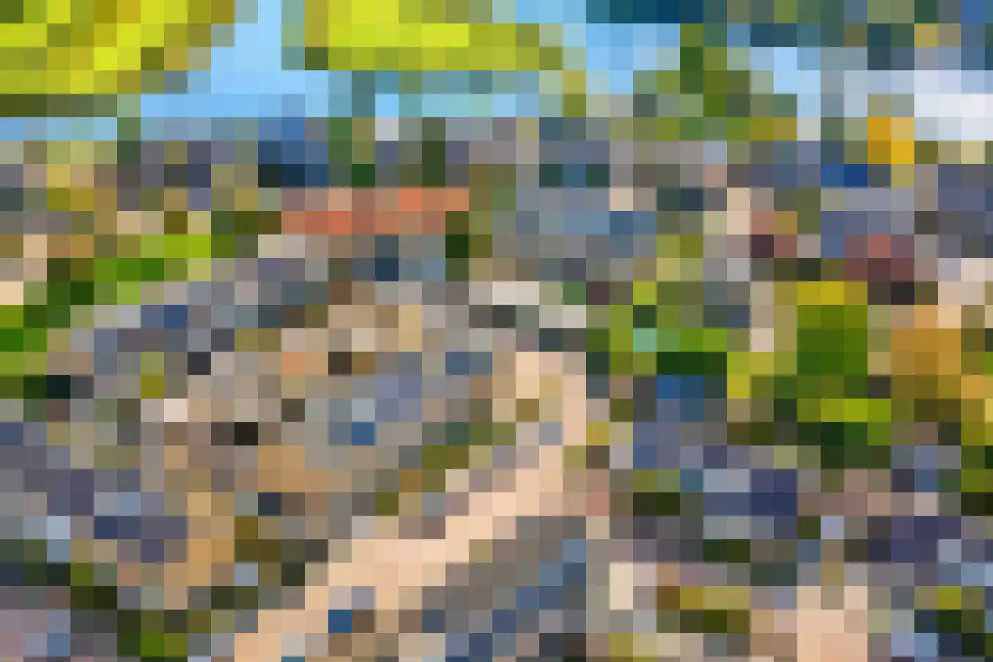 J.C. de Backstraat 42 Ridderkerk thumbnail 31