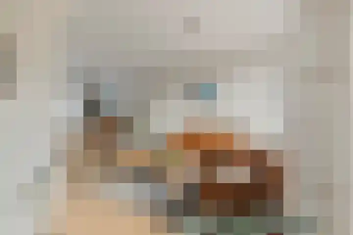 J.C. de Backstraat 6 Ridderkerk thumbnail 11