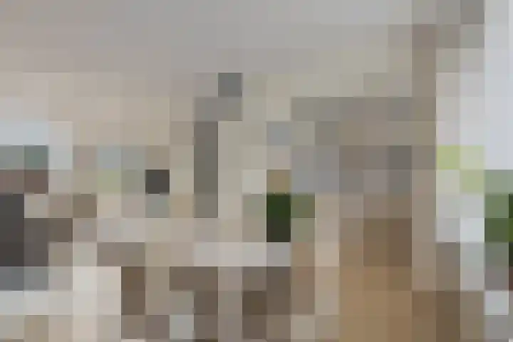 J.C. de Backstraat 6 Ridderkerk thumbnail 12