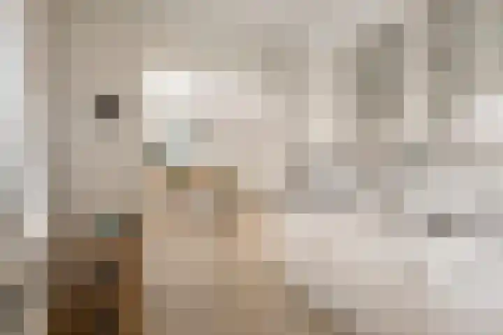 J.C. de Backstraat 6 Ridderkerk thumbnail 14