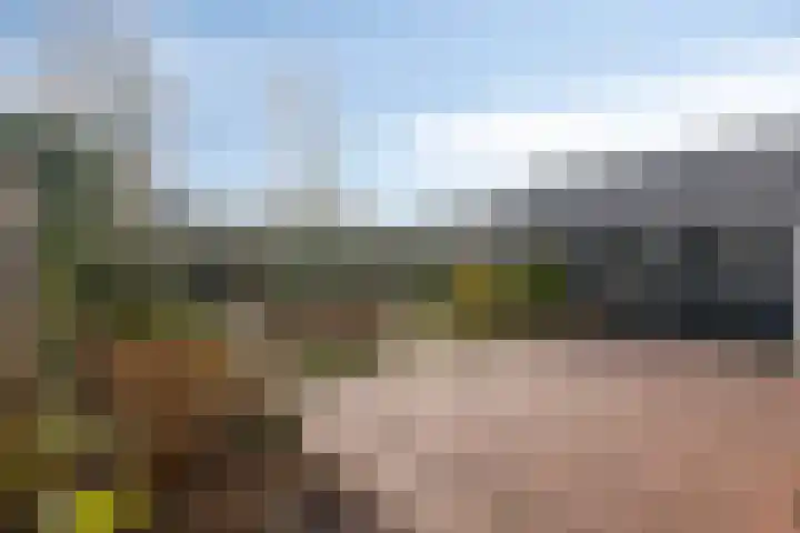 J.C. de Backstraat 6 Ridderkerk thumbnail 21