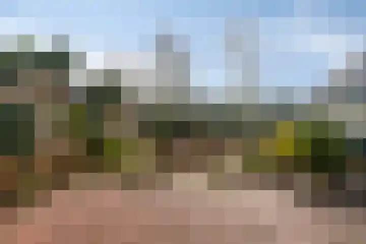 J.C. de Backstraat 6 Ridderkerk thumbnail 22