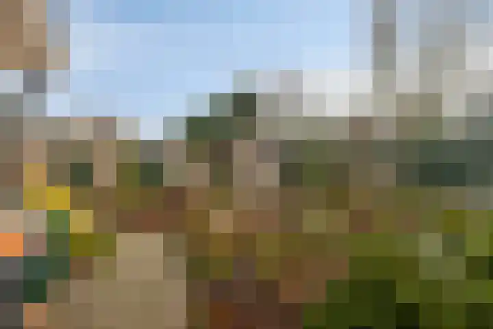 J.C. de Backstraat 6 Ridderkerk thumbnail 23