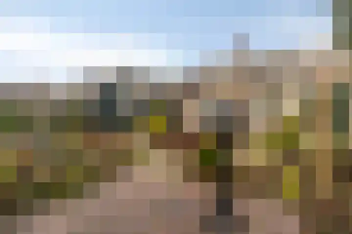 J.C. de Backstraat 6 Ridderkerk thumbnail 25