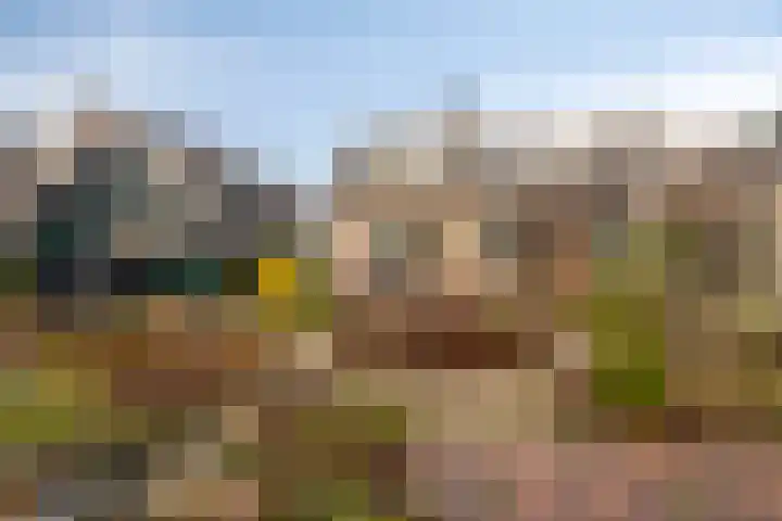 J.C. de Backstraat 6 Ridderkerk thumbnail 26