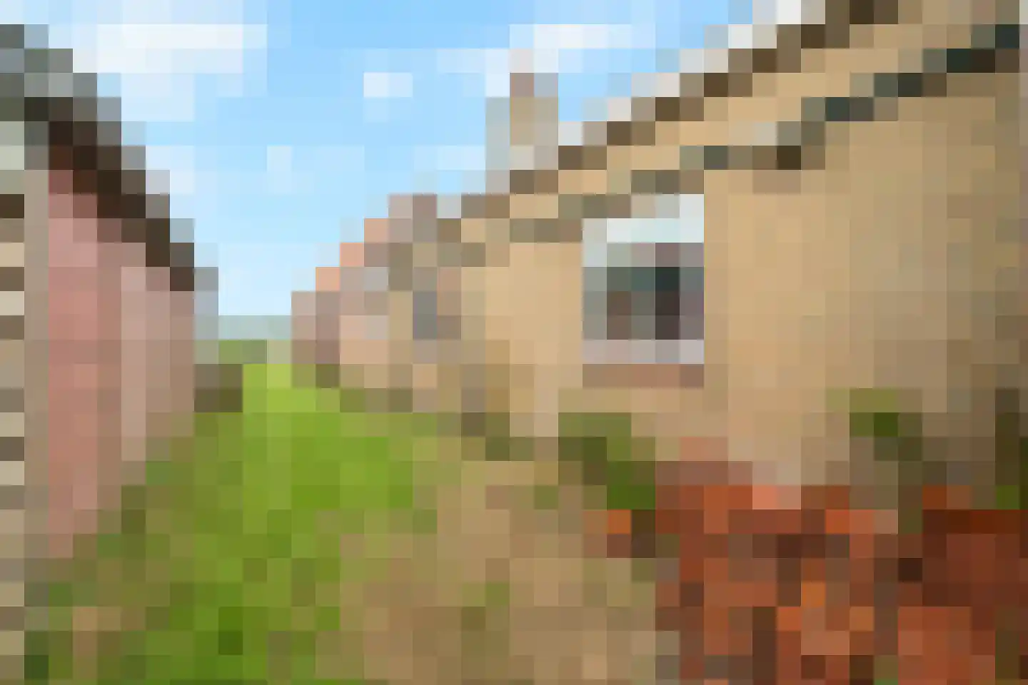 J. C. de Leeuwweg 48 Breezand thumbnail 41
