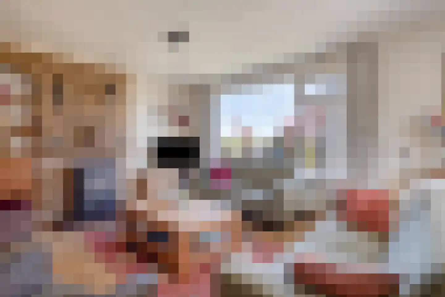 J. C. de Leeuwweg 5 Breezand thumbnail 14