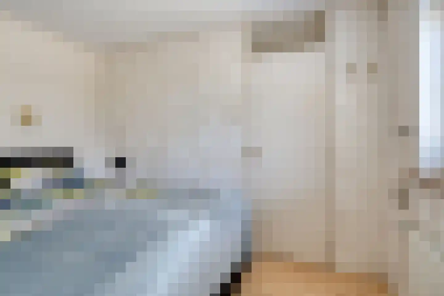 J. C. de Leeuwweg 5 Breezand thumbnail 23