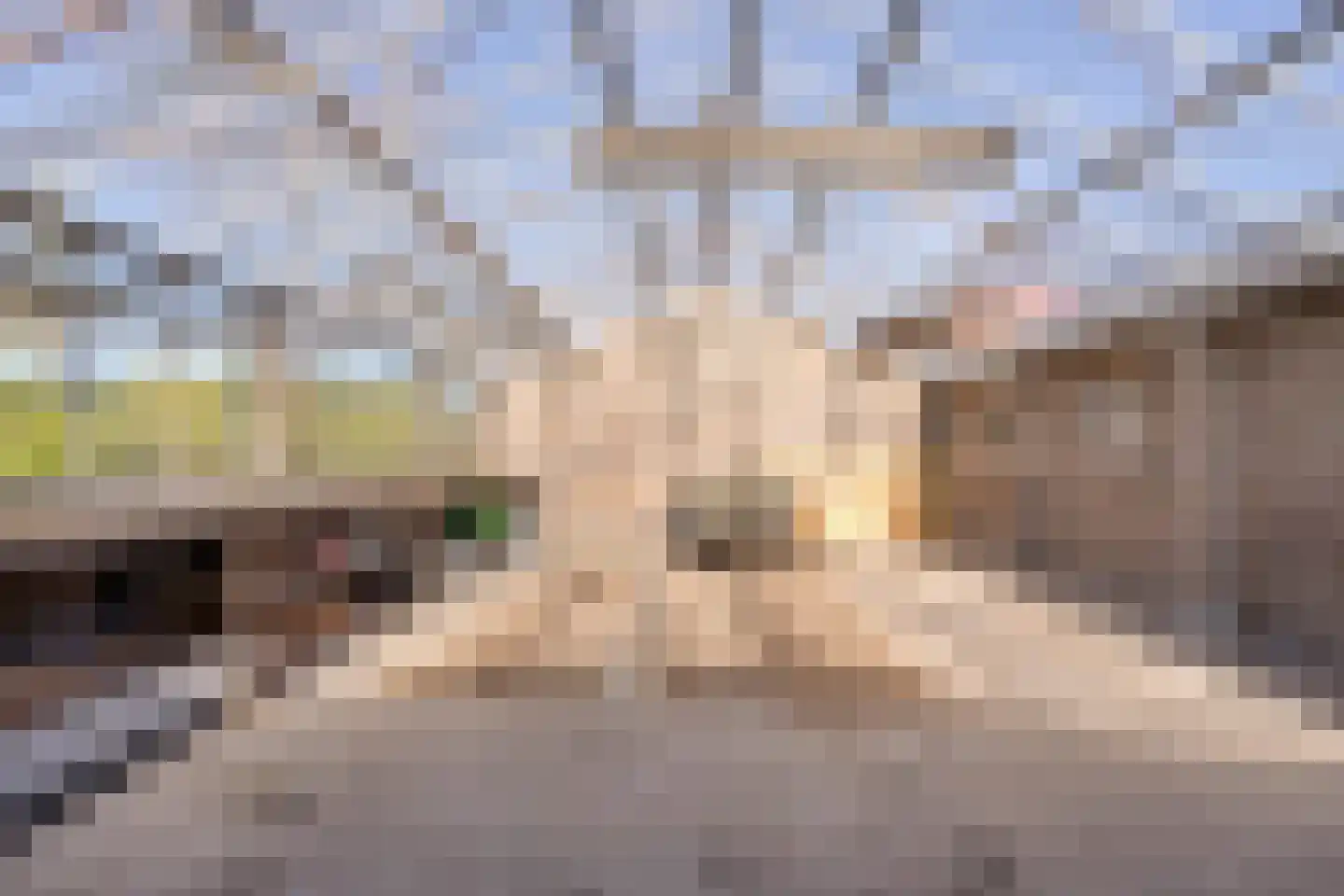J. C. de Leeuwweg 5 Breezand thumbnail 37