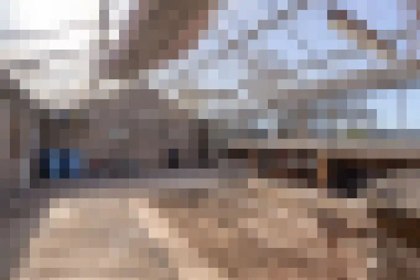 J. C. de Leeuwweg 5 Breezand thumbnail 38