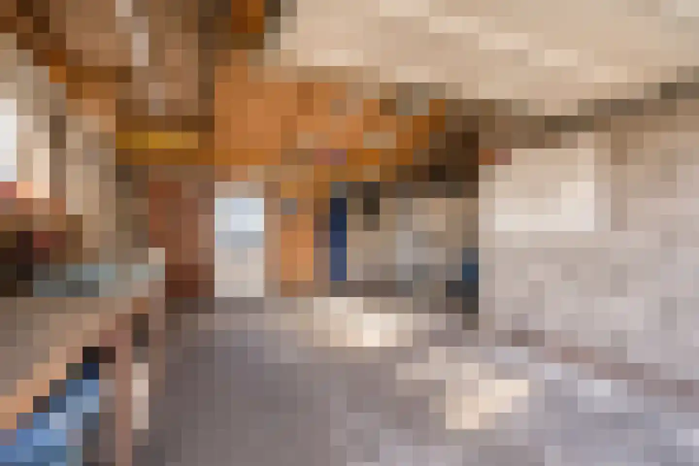J. C. de Leeuwweg 5 Breezand thumbnail 39