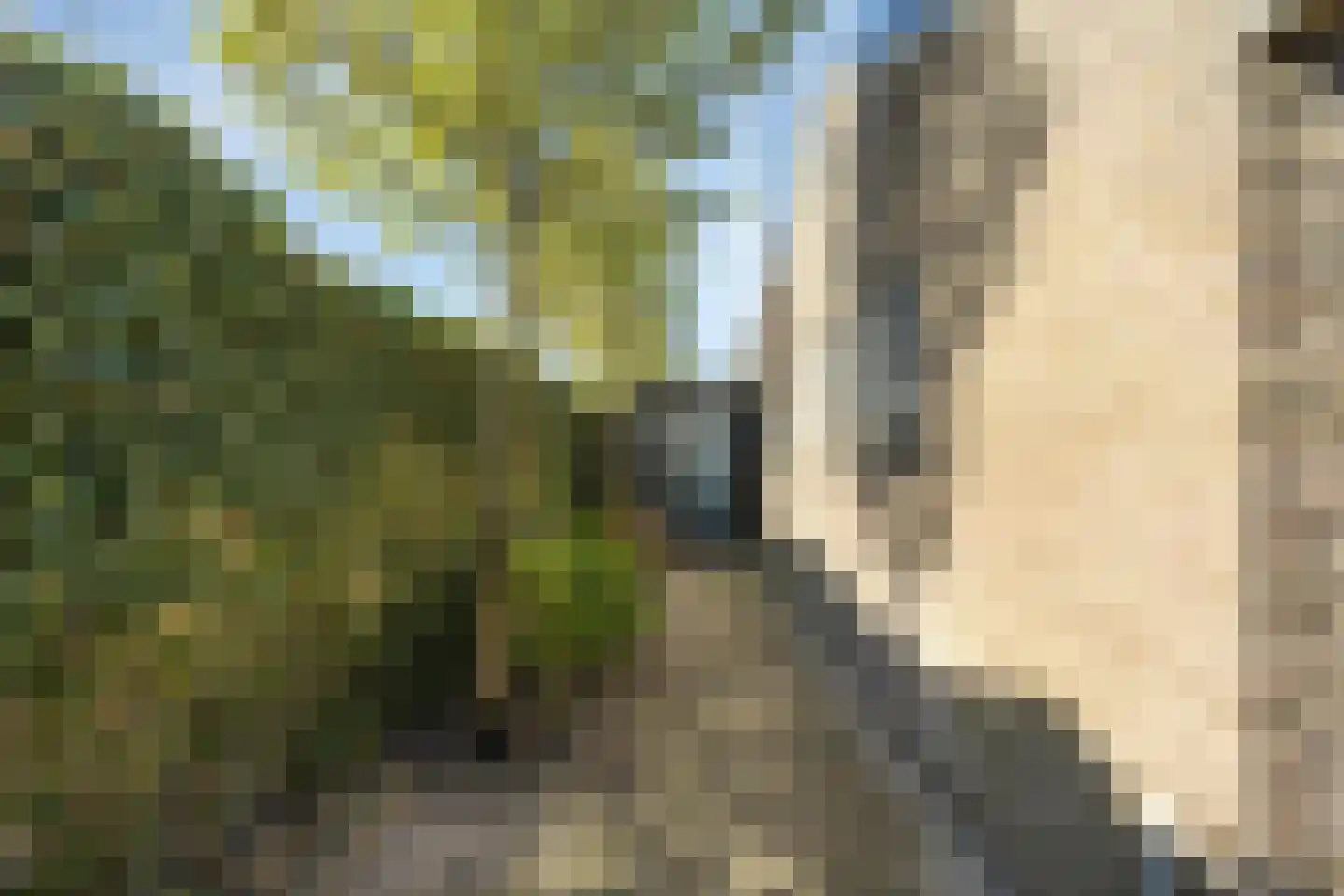 J. C. de Leeuwweg 5 Breezand thumbnail 41