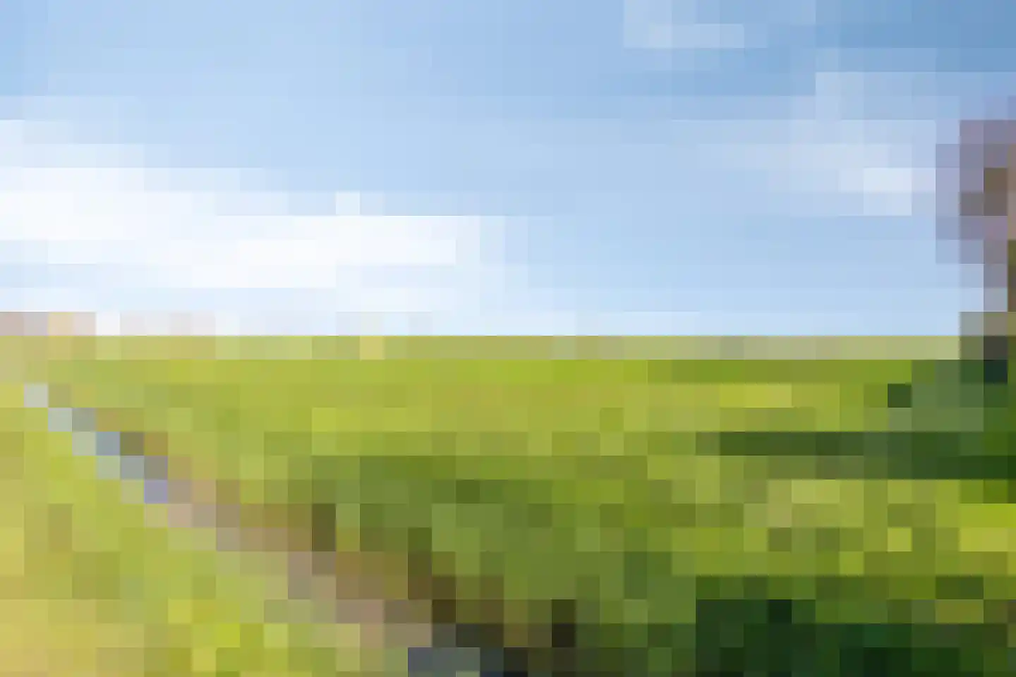 J. C. de Leeuwweg 5 Breezand thumbnail 42