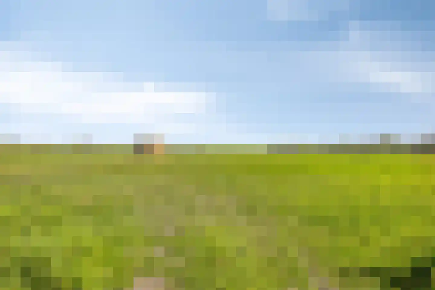 J. C. de Leeuwweg 5 Breezand thumbnail 43