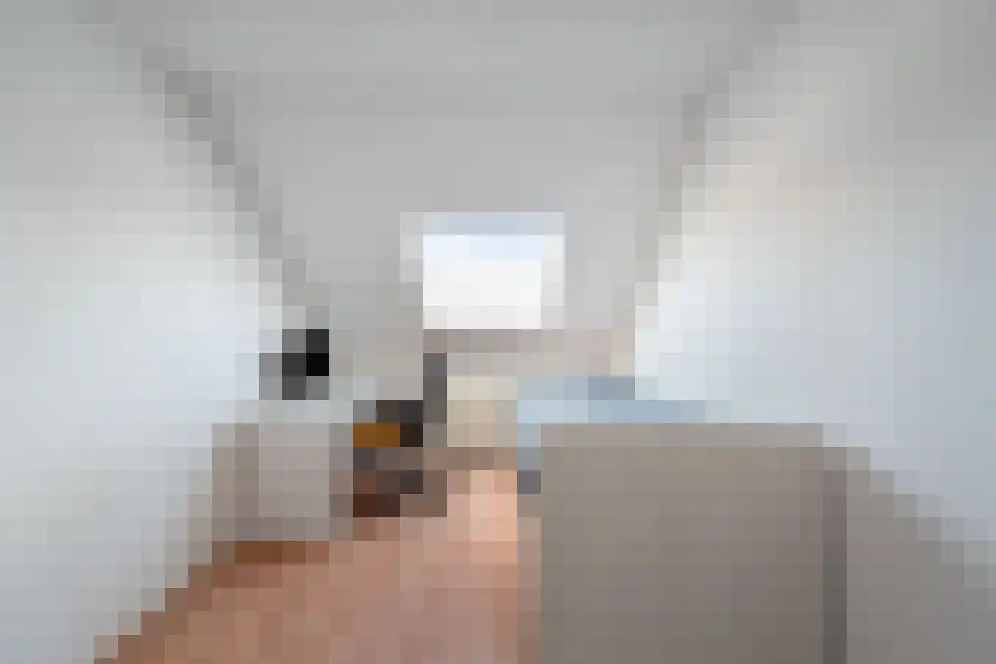 J. C. Geerligslaan 48 Anna Paulowna thumbnail 22