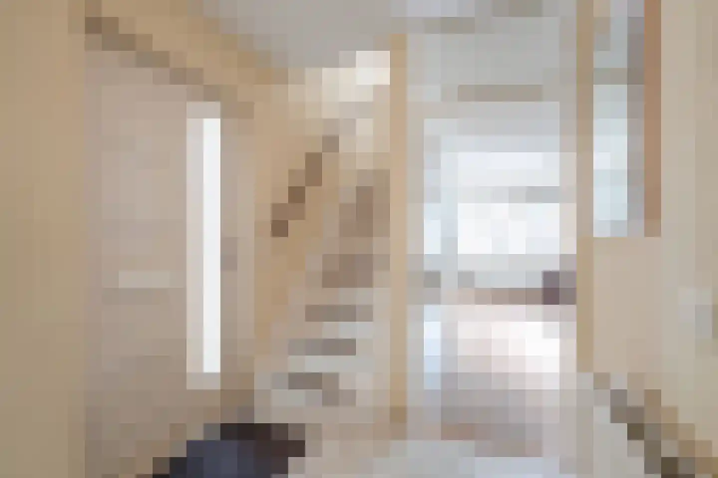 J. C. Geerligslaan 48 Anna Paulowna thumbnail 8