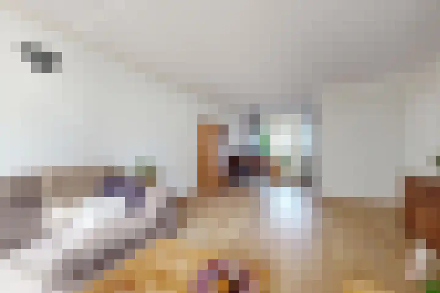 J C Hoevenaarstraat 2 Lage Zwaluwe thumbnail 16