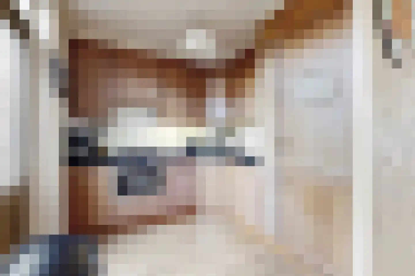 J C Hoevenaarstraat 2 Lage Zwaluwe thumbnail 25