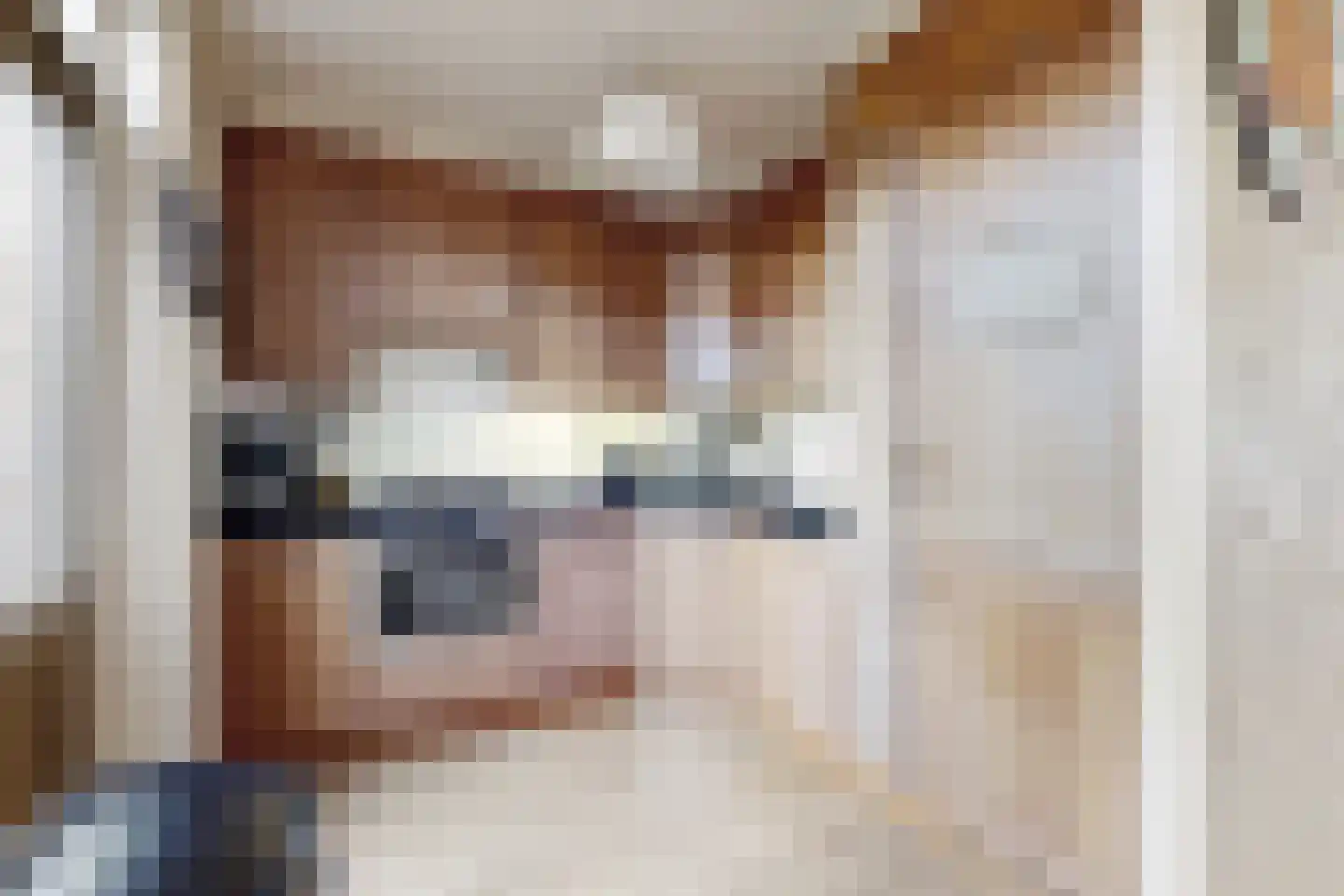 J C Hoevenaarstraat 2 Lage Zwaluwe thumbnail 4