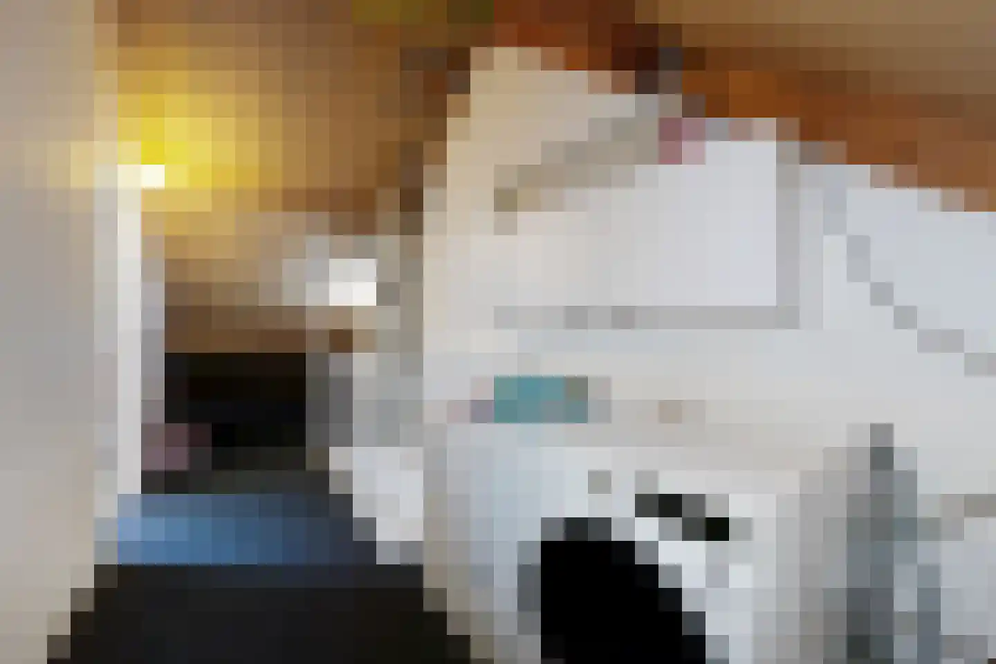 J C Hoevenaarstraat 2 Lage Zwaluwe thumbnail 43