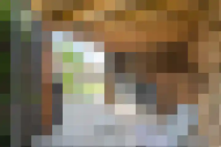 J.C.J. van Speykstraat 30 Hardenberg thumbnail 33