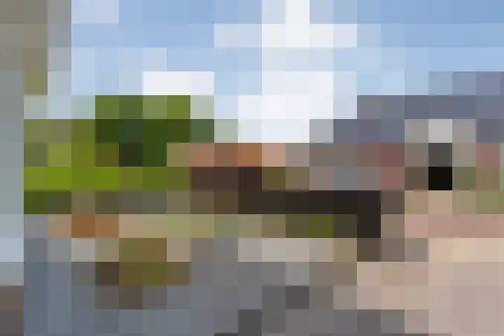J.C.J. van Speykstraat 30 Hardenberg thumbnail 9