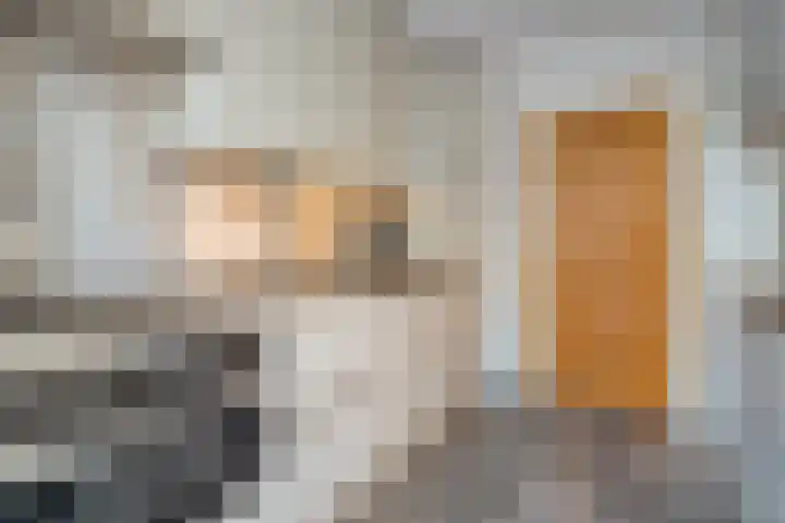 J.C.J. van Speykstraat 6 Hardenberg thumbnail 11