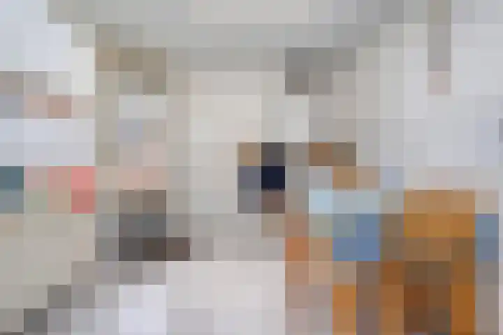 J.C.J. van Speykstraat 6 Hardenberg thumbnail 13