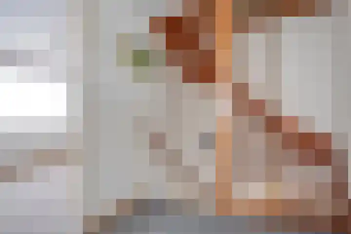 J.C.J. van Speykstraat 6 Hardenberg thumbnail 16