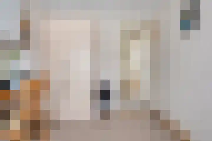 J.C.J. van Speykstraat 6 Hardenberg thumbnail 18