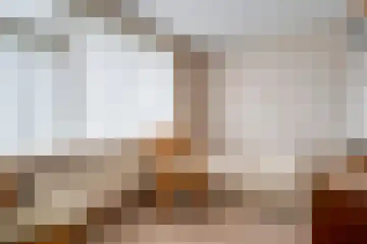 J.C.J. van Speykstraat 6 Hardenberg thumbnail 21
