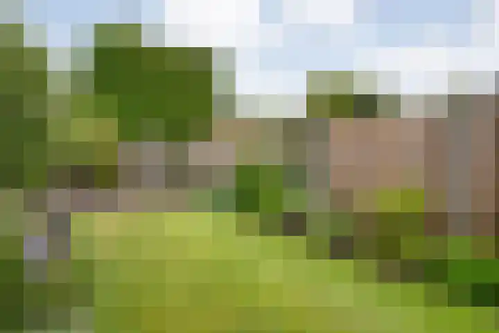 J.C.J. van Speykstraat 6 Hardenberg thumbnail 34