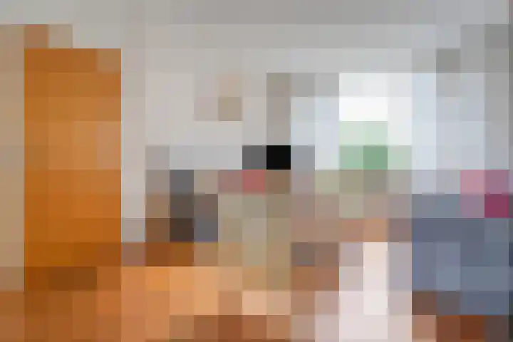 J.C.J. van Speykstraat 6 Hardenberg thumbnail 7