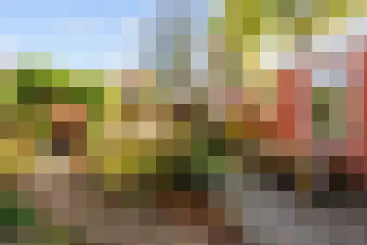 J.C. Kapteynlaan 13 Groningen thumbnail 36