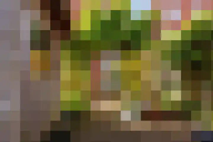 J.C. Kapteynlaan 13 Groningen thumbnail 38