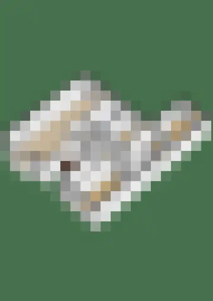 J.C. Kapteynlaan 13 Groningen thumbnail 41