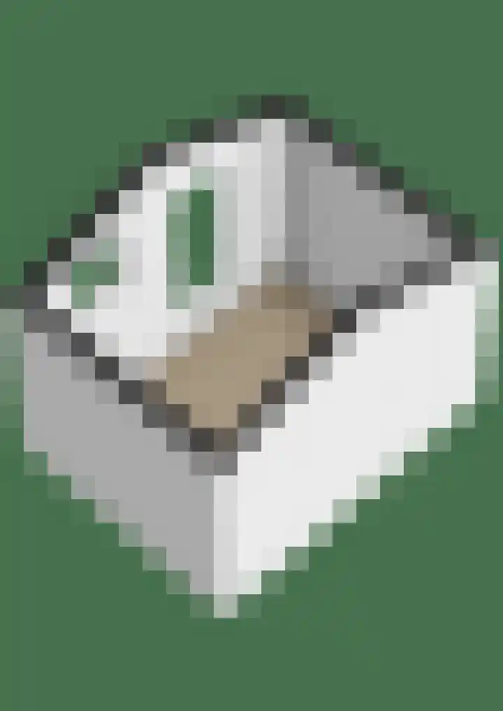J.C. Kapteynlaan 13 Groningen thumbnail 43