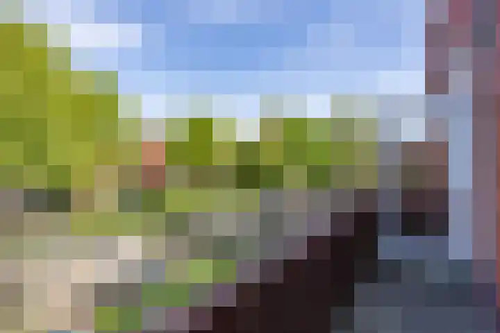 J.C. Kapteynlaan 19 b Groningen thumbnail 13