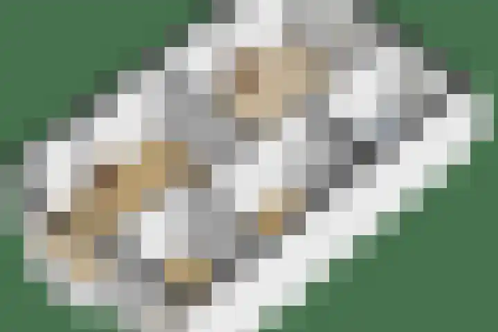J.C. Kapteynlaan 19 b Groningen thumbnail 26