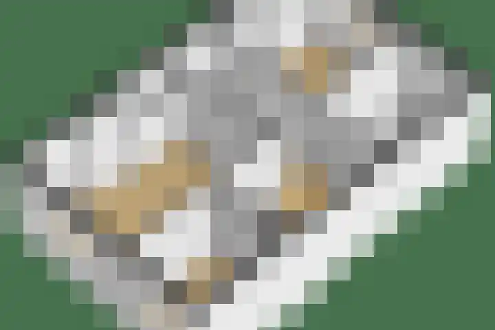 J.C. Kapteynlaan 19 b Groningen thumbnail 28