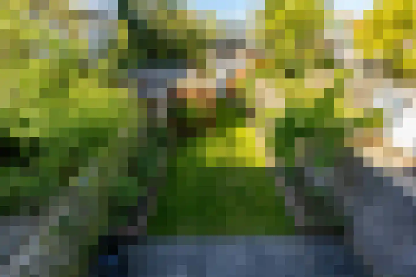 J.C. Kapteynlaan 26 Groningen thumbnail 33