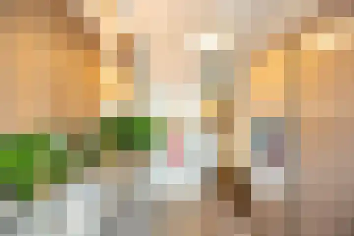 J.C. Kapteynlaan 3 Groningen thumbnail 17